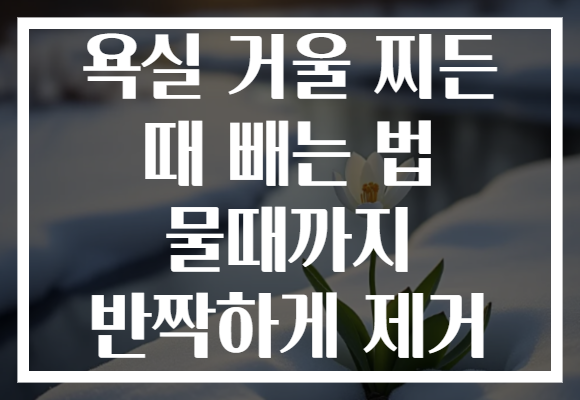 욕실 거울 찌든 때 빼는 법 물때까지 반짝하게 제거