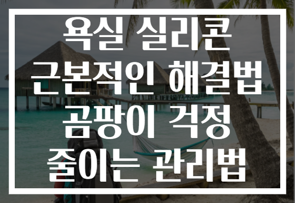 욕실 실리콘 근본적인 해결법 곰팡이 걱정 줄이는 관리법
