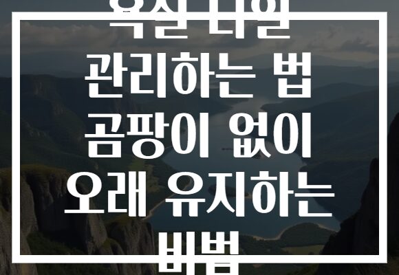 욕실 타일 관리하는 법 곰팡이 없이 오래 유지하는 비법