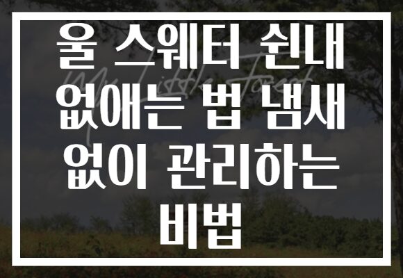 울 스웨터 쉰내 없애는 법 냄새 없이 관리하는 비법