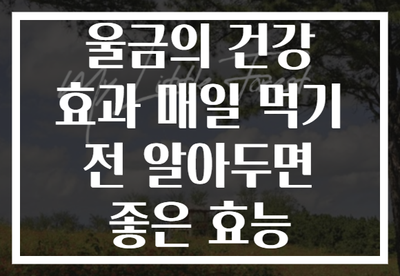 울금의 건강 효과 매일 먹기 전 알아두면 좋은 효능