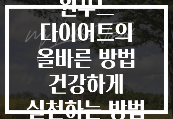 원푸드 다이어트의 올바른 방법 건강하게 실천하는 방법