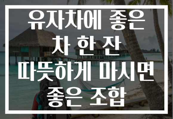 유자차에 좋은 차 한 잔 따뜻하게 마시면 좋은 조합