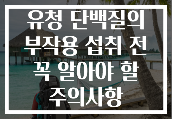 유청 단백질의 부작용 섭취 전 꼭 알아야 할 주의사항