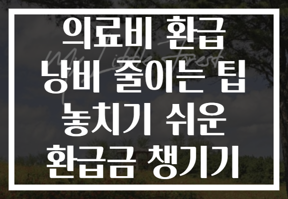 의료비 환급 낭비 줄이는 팁 놓치기 쉬운 환급금 챙기기