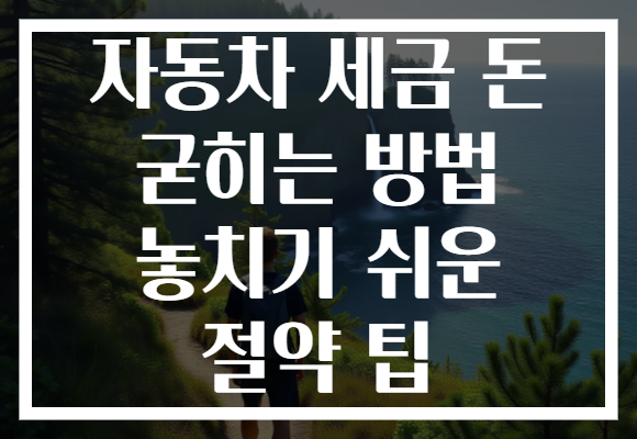 자동차 세금 돈 굳히는 방법 놓치기 쉬운 절약 팁