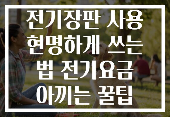 전기장판 사용 현명하게 쓰는 법 전기요금 아끼는 꿀팁