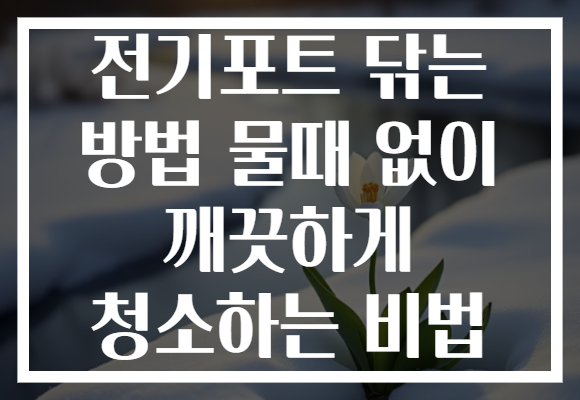 전기포트 닦는 방법 물때 없이 깨끗하게 청소하는 비법