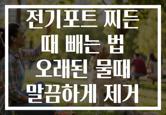 전기포트 찌든 때 빼는 법 오래된 물때 말끔하게 제거