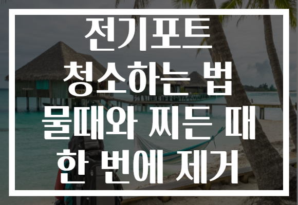 전기포트 청소하는 법 물때와 찌든 때 한 번에 제거