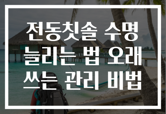 전동칫솔 수명 늘리는 법 오래 쓰는 관리 비법