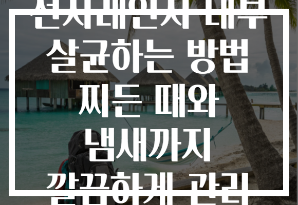 전자레인지 내부 살균하는 방법 찌든 때와 냄새까지 깔끔하게 관리