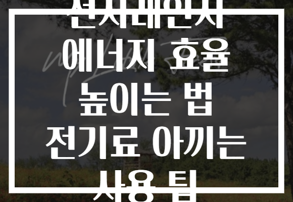 전자레인지 에너지 효율 높이는 법 전기료 아끼는 사용 팁