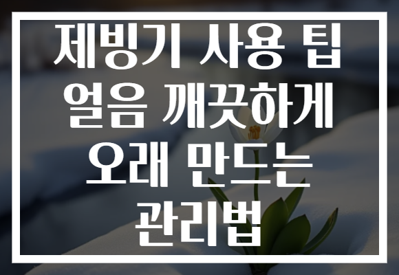 제빙기 사용 팁 얼음 깨끗하게 오래 만드는 관리법