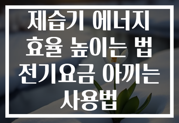 제습기 에너지 효율 높이는 법 전기요금 아끼는 사용법