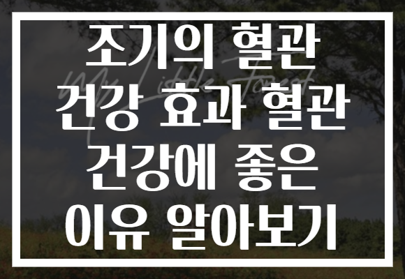 조기의 혈관 건강 효과 혈관 건강에 좋은 이유 알아보기