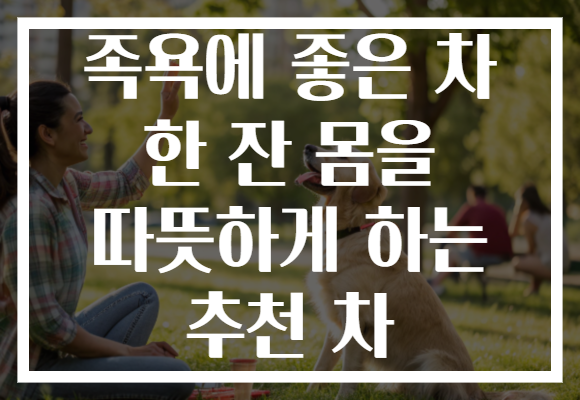 족욕에 좋은 차 한 잔 몸을 따뜻하게 하는 추천 차