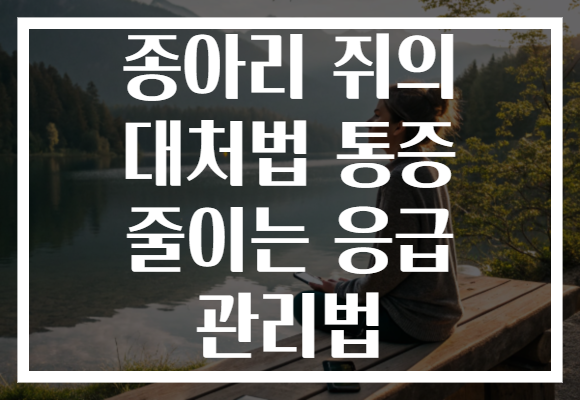 종아리 쥐의 대처법 통증 줄이는 응급 관리법