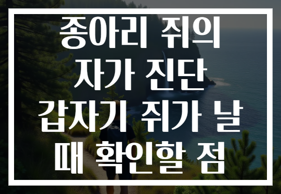 종아리 쥐의 자가 진단 갑자기 쥐가 날 때 확인할 점