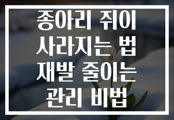 종아리 쥐이 사라지는 법 재발 줄이는 관리 비법