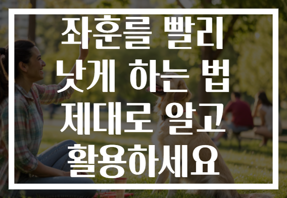 좌훈를 빨리 낫게 하는 법 제대로 알고 활용하세요