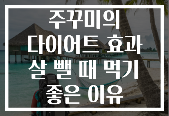 주꾸미의 다이어트 효과 살 뺄 때 먹기 좋은 이유