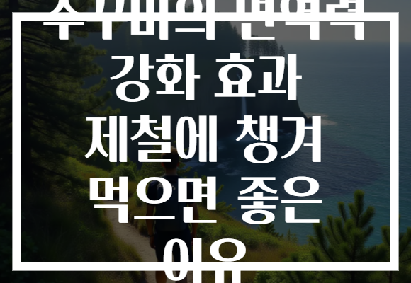주꾸미의 면역력 강화 효과 제철에 챙겨 먹으면 좋은 이유