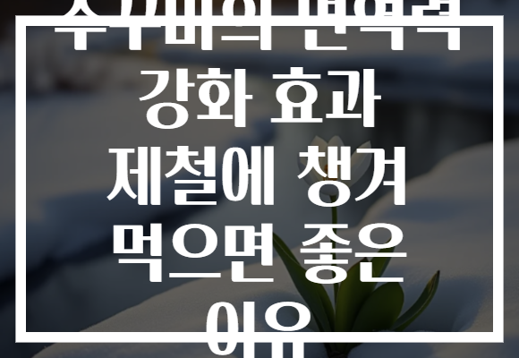주꾸미의 면역력 강화 효과 제철에 챙겨 먹으면 좋은 이유