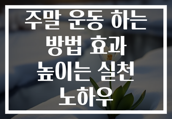주말 운동 하는 방법 효과 높이는 실천 노하우