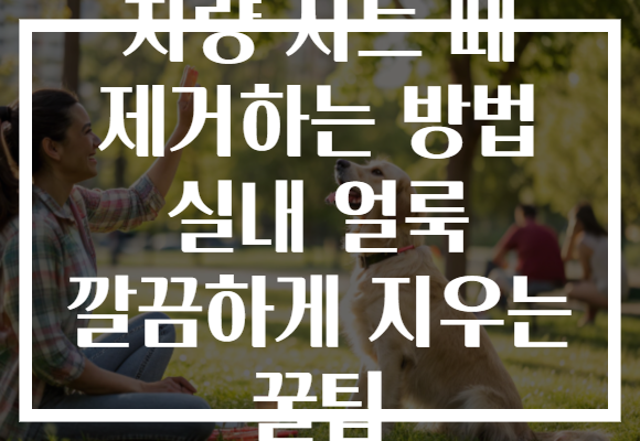 차량 시트 때 제거하는 방법 실내 얼룩 깔끔하게 지우는 꿀팁