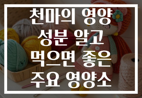 천마의 영양 성분 알고 먹으면 좋은 주요 영양소