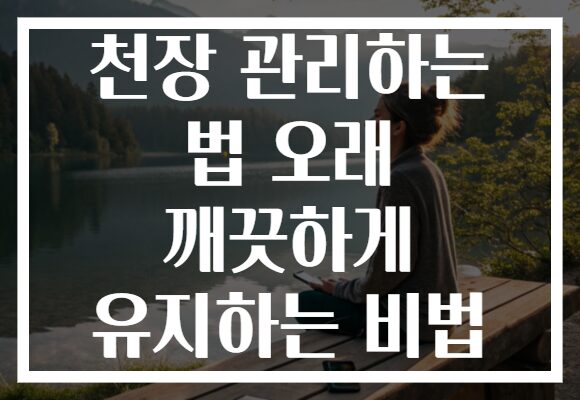 천장 관리하는 법 오래 깨끗하게 유지하는 비법