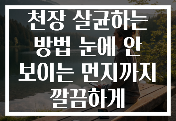 천장 살균하는 방법 눈에 안 보이는 먼지까지 깔끔하게