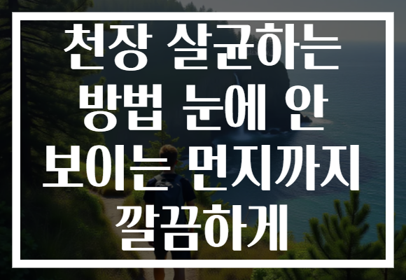 천장 살균하는 방법 눈에 안 보이는 먼지까지 깔끔하게