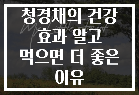 청경채의 건강 효과 알고 먹으면 더 좋은 이유