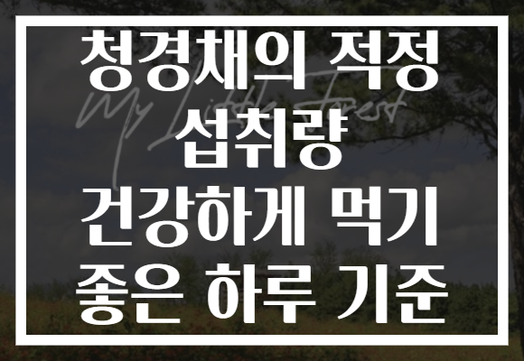 청경채의 적정 섭취량 건강하게 먹기 좋은 하루 기준