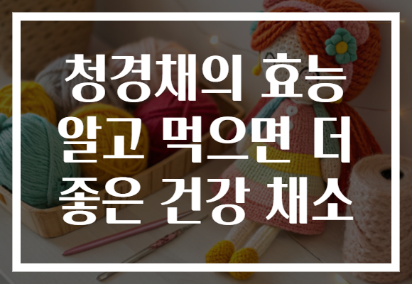 청경채의 효능 알고 먹으면 더 좋은 건강 채소
