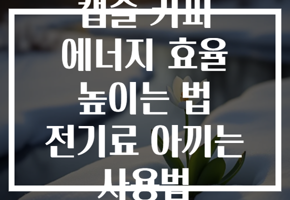 캡슐 커피 에너지 효율 높이는 법 전기료 아끼는 사용법