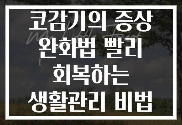 코감기의 증상 완화법 빨리 회복하는 생활관리 비법