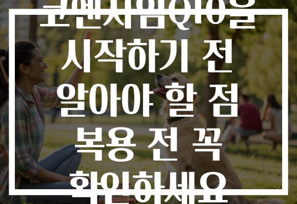 코엔자임Q10을 시작하기 전 알아야 할 점 복용 전 꼭 확인하세요
