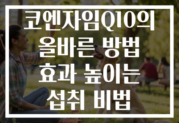 코엔자임Q10의 올바른 방법 효과 높이는 섭취 비법