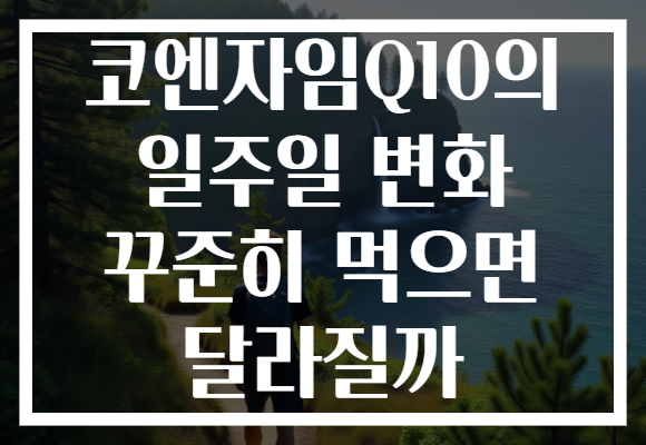 코엔자임Q10의 일주일 변화 꾸준히 먹으면 달라질까