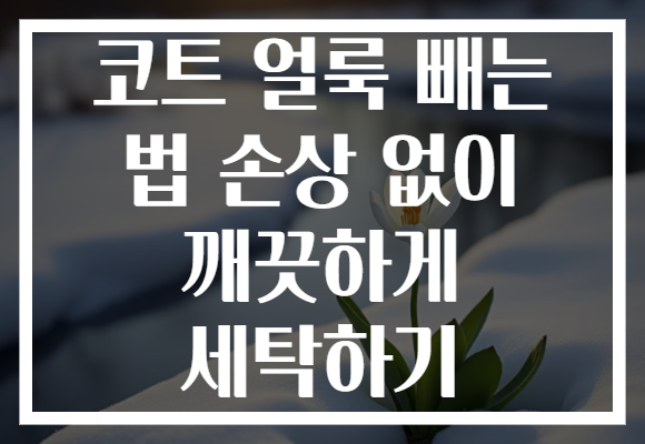 코트 얼룩 빼는 법 손상 없이 깨끗하게 세탁하기