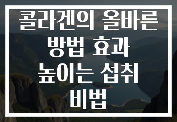 콜라겐의 올바른 방법 효과 높이는 섭취 비법