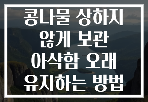 콩나물 상하지 않게 보관 아삭함 오래 유지하는 방법