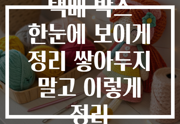 택배 박스 한눈에 보이게 정리 쌓아두지 말고 이렇게 정리