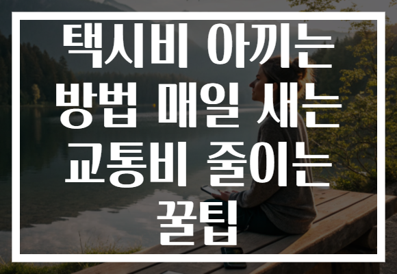 택시비 아끼는 방법 매일 새는 교통비 줄이는 꿀팁