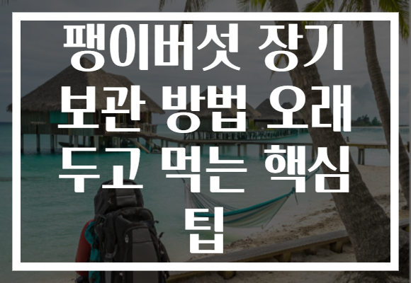 팽이버섯 장기 보관 방법 오래 두고 먹는 핵심 팁