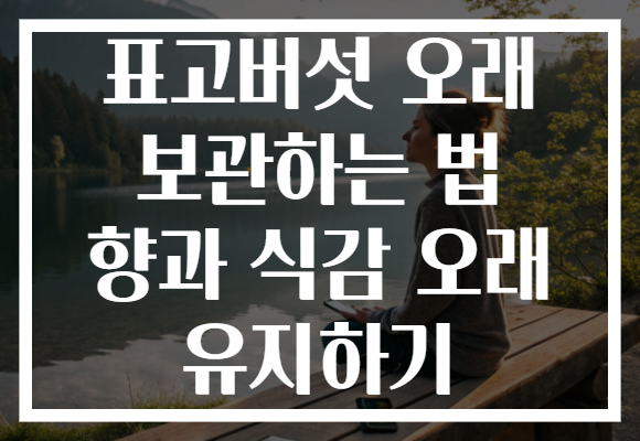표고버섯 오래 보관하는 법 향과 식감 오래 유지하기