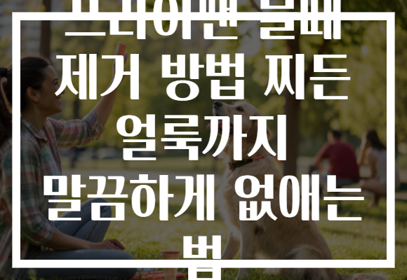 프라이팬 물때 제거 방법 찌든 얼룩까지 말끔하게 없애는 법
